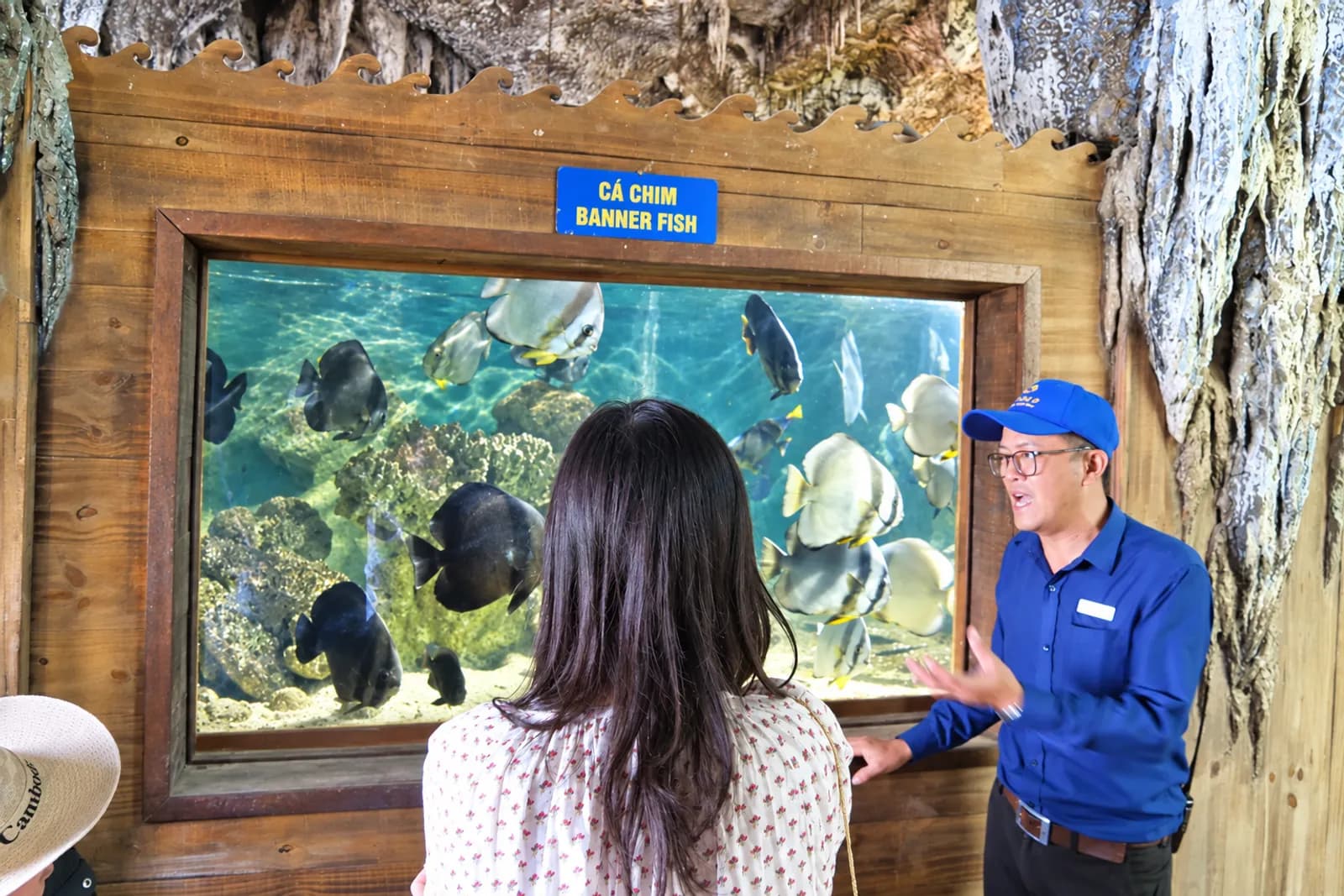 Tour 4 đảo Nha Trang: Thủy Cung Trí Nguyên – Bãi Sỏi – Làng Chài – Bãi Tranh – ảnh 2
