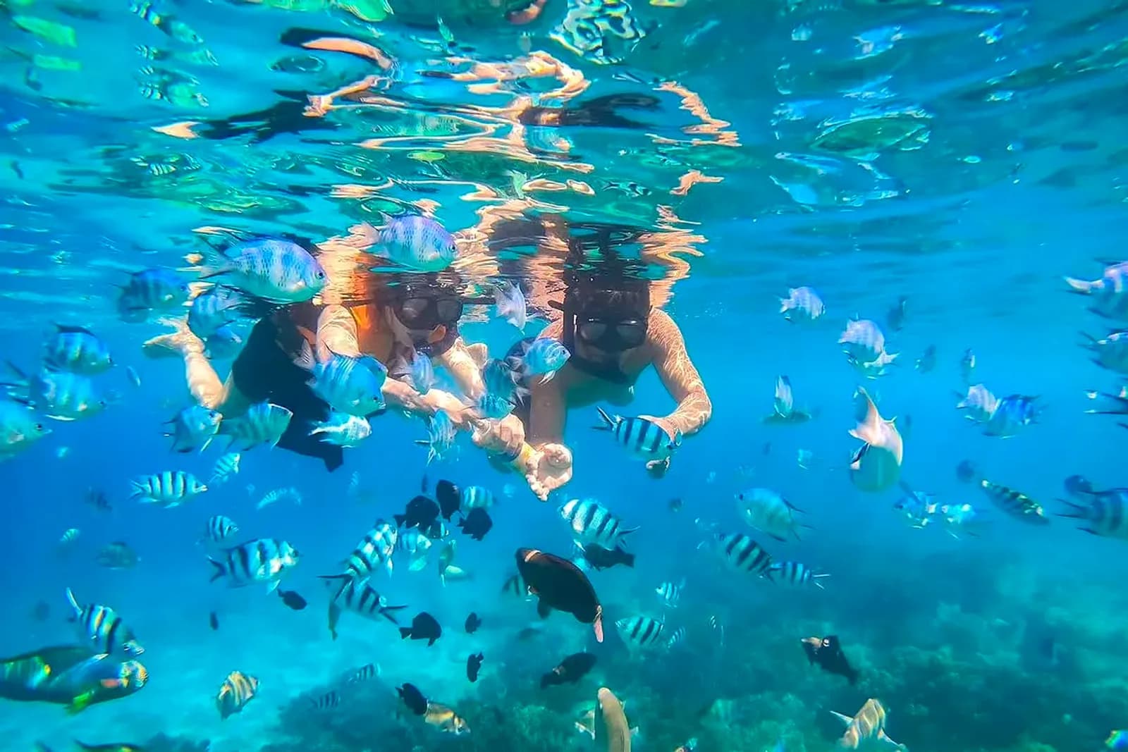 Tour 3 đảo Nha Trang: Lặn biển Hòn Mun – Làng Chài – Bãi Sỏi