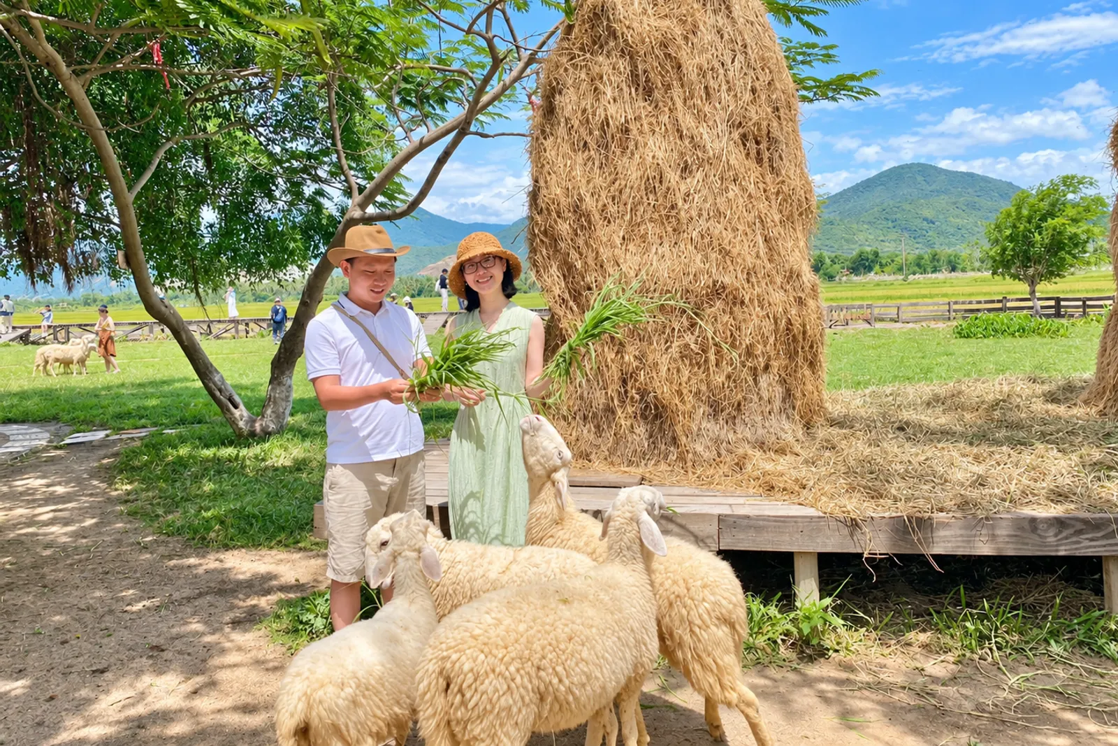 Du khách tạo dáng check-in giữa khung cảnh đồng cừu Ninh Thuận